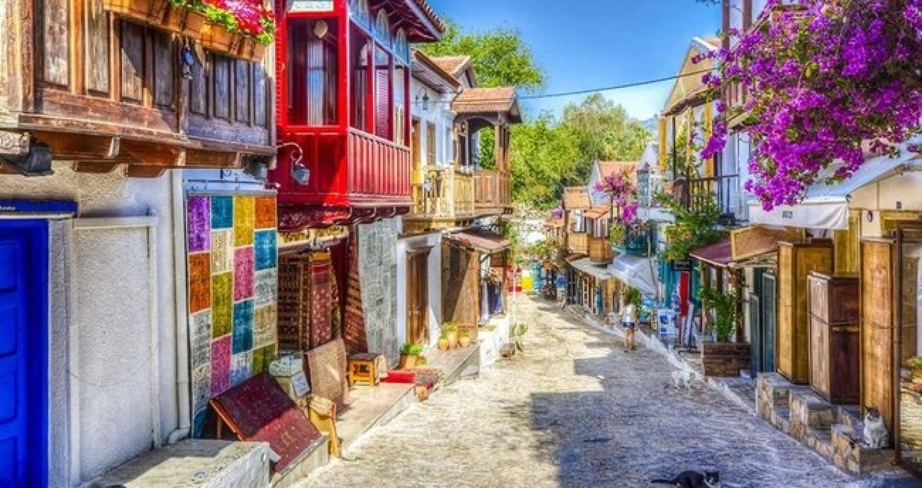 Kaşta ne yapabilirim?