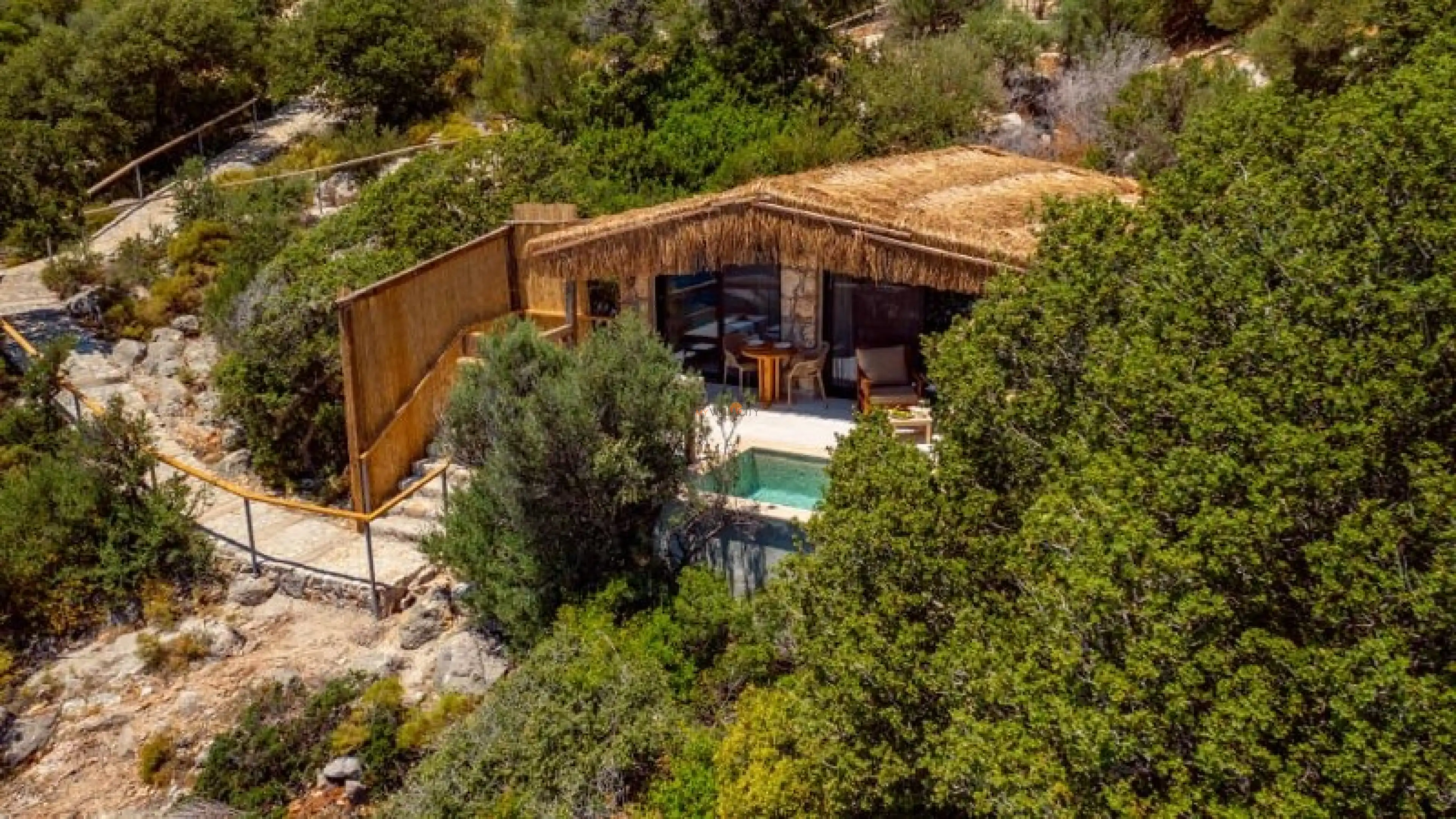 DJi_0288-Edit-1_800x450_826.jpeg