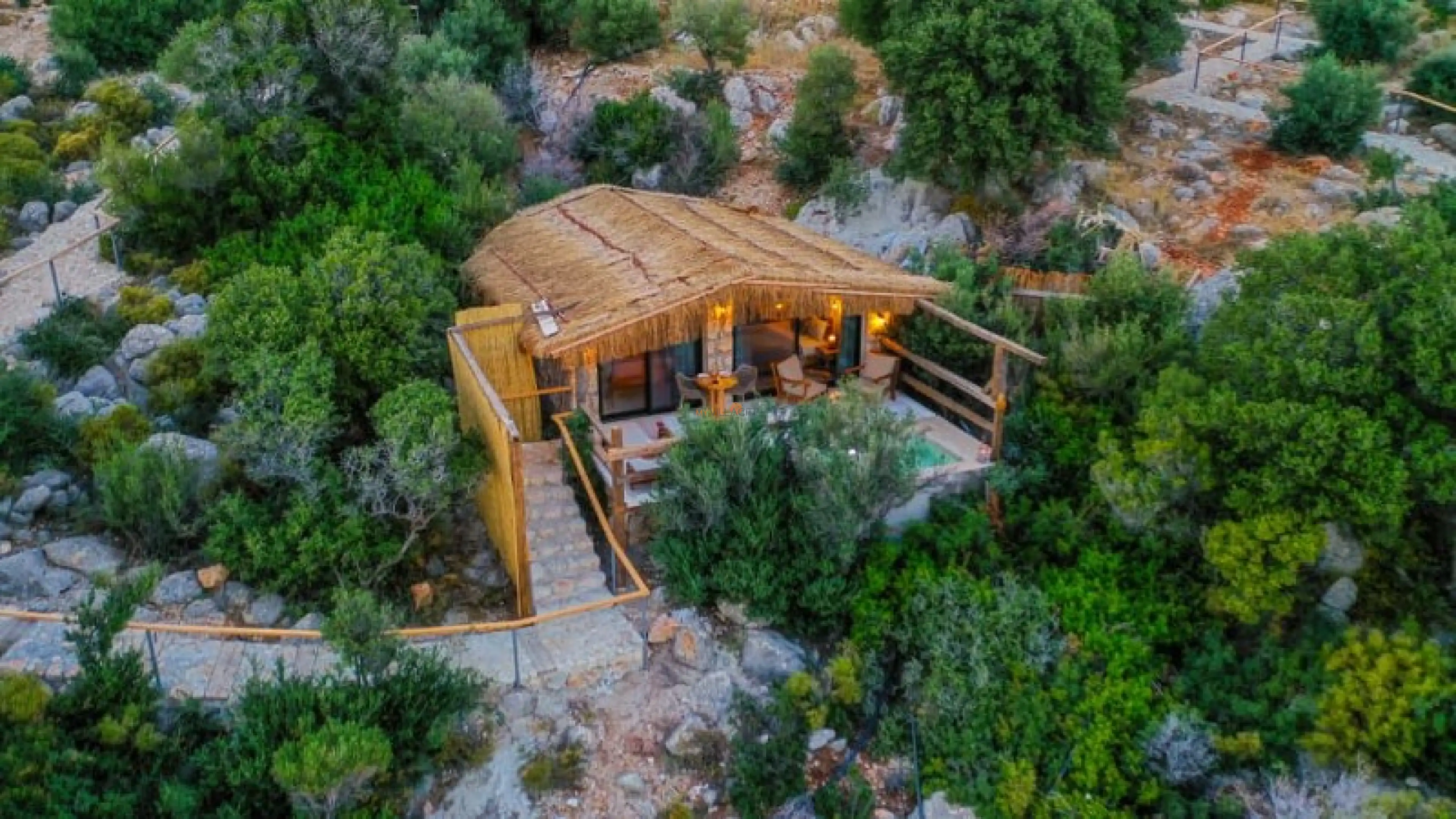 DJi_0296-1_800x450_513.jpeg