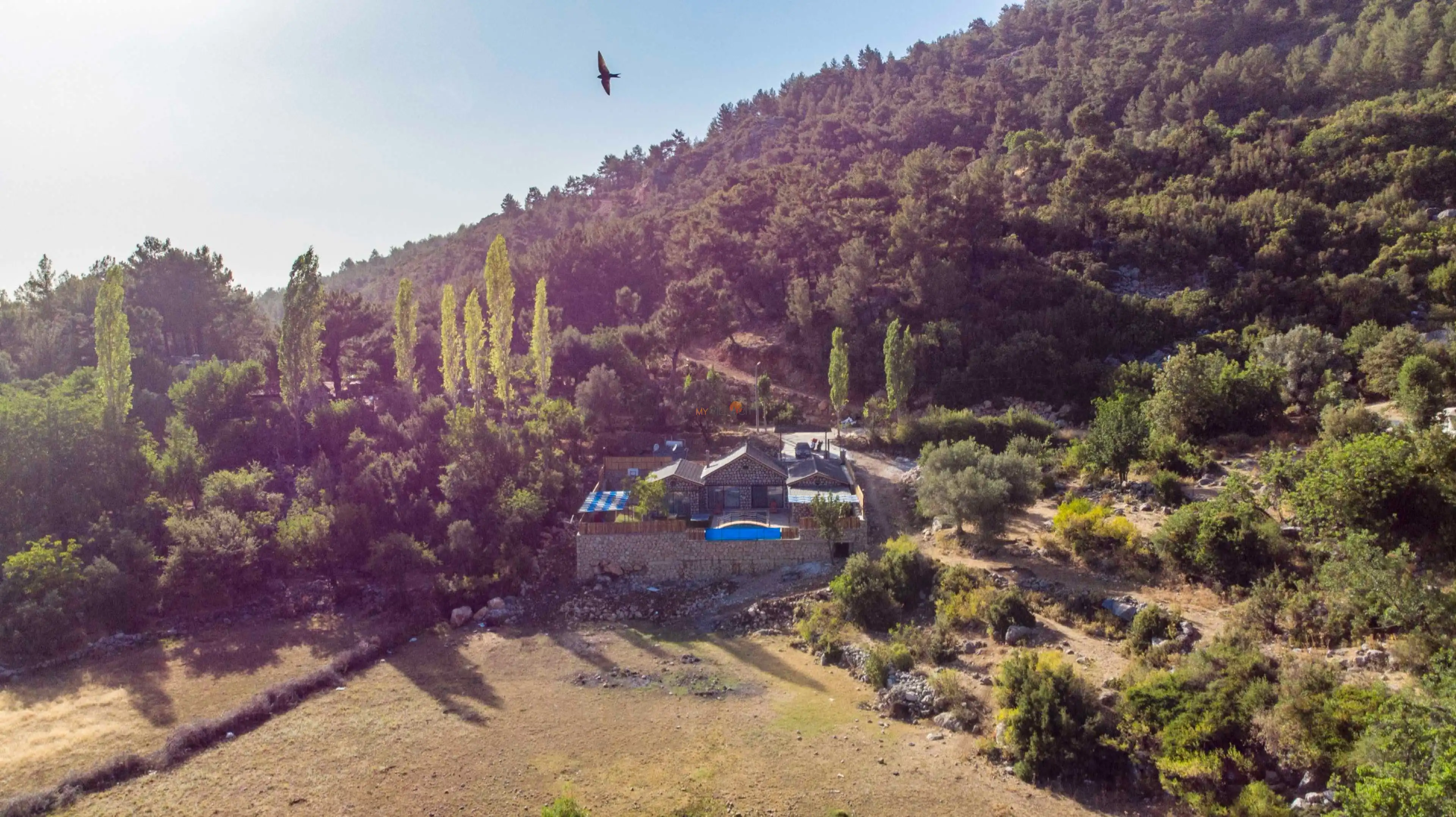 DJi_0437_330.jpg