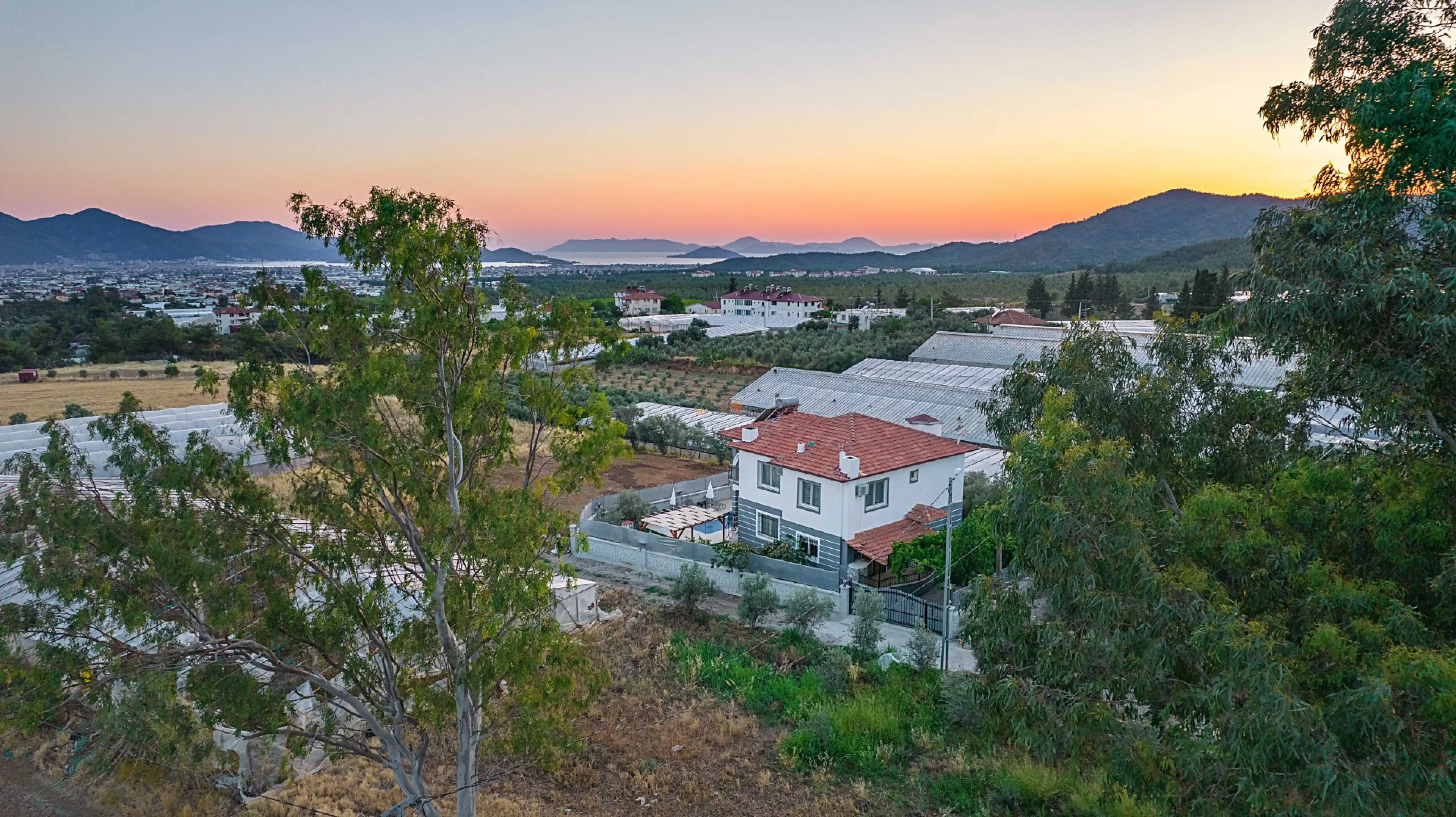 DJi_0659_994.jpg