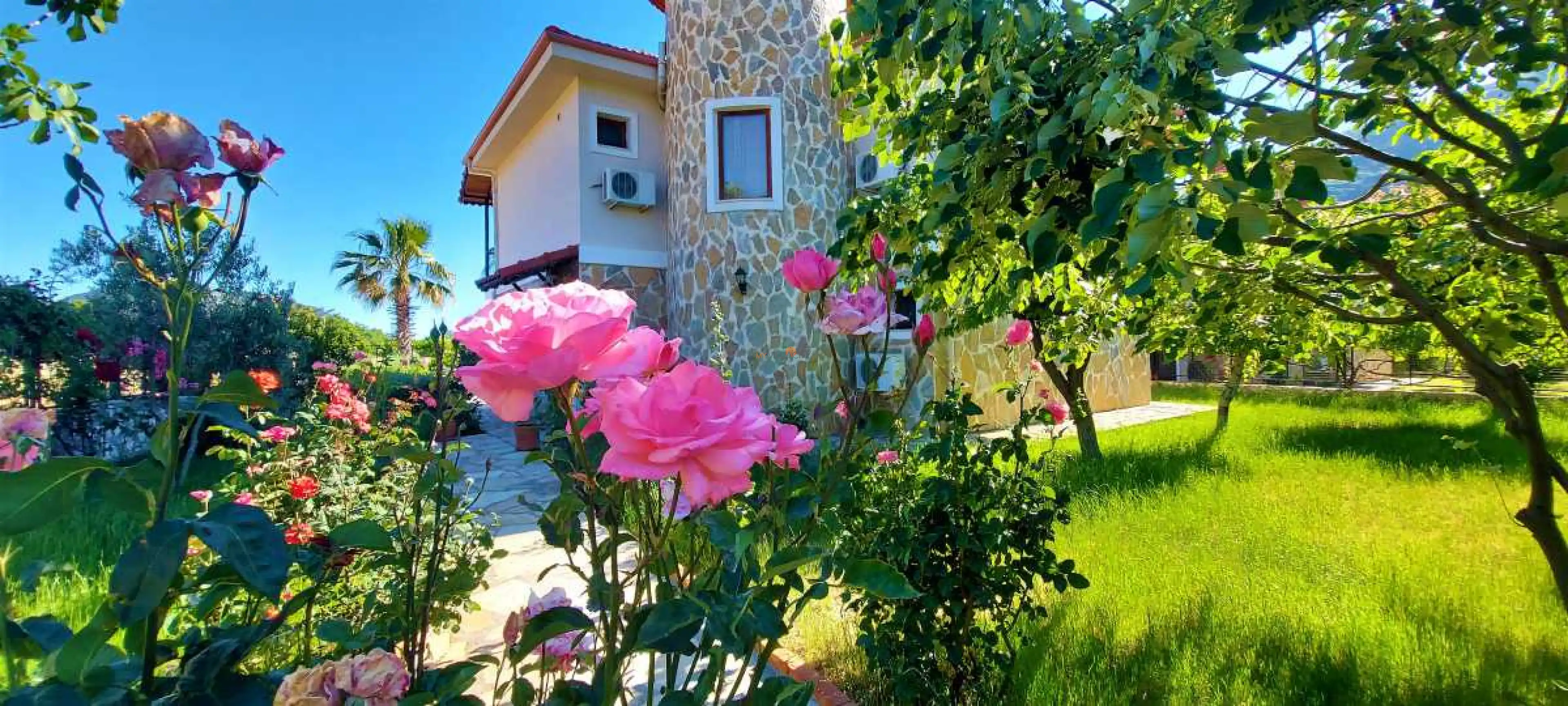 Ovillam-Gelincik-Bezirgan-14_353.jpg
